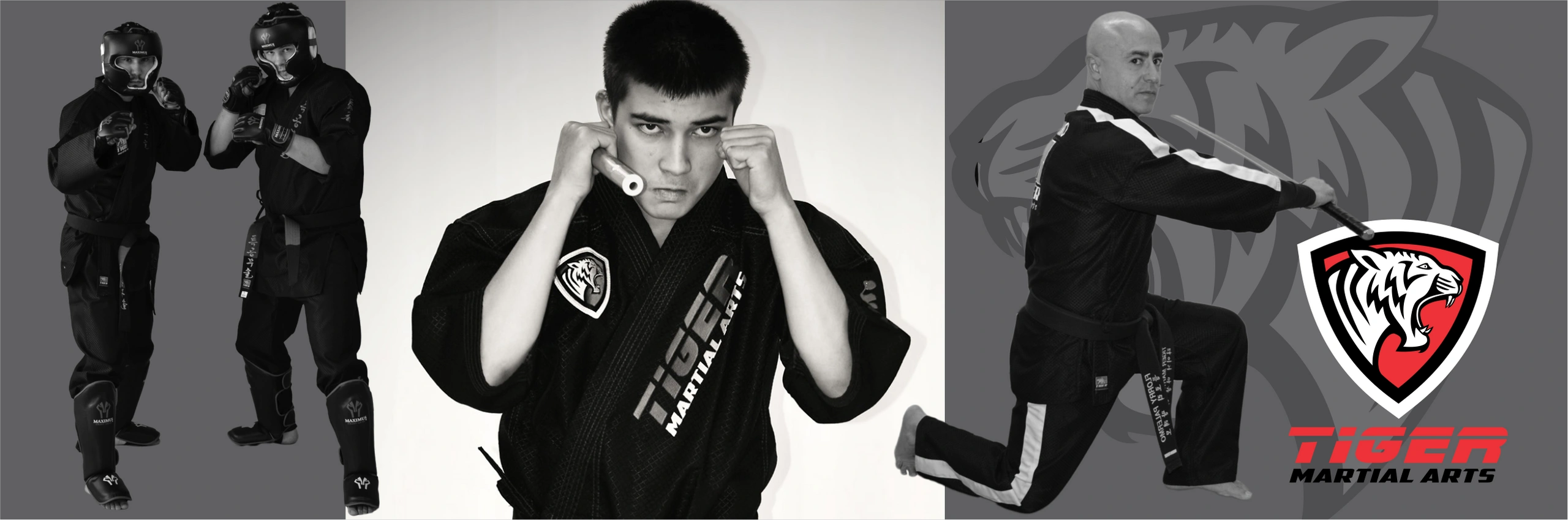 Canadian Martial Arts Federation